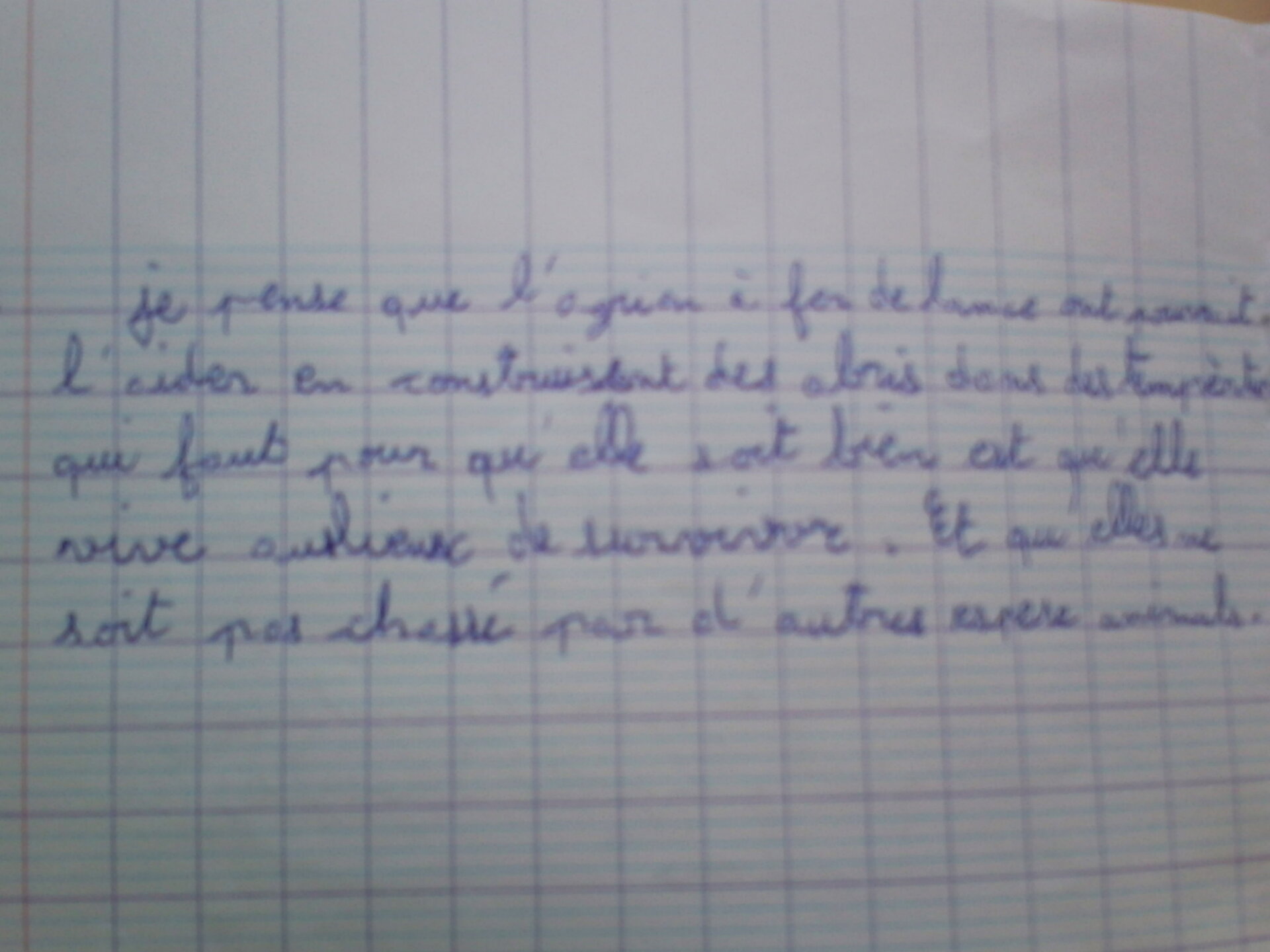 Photo 9
